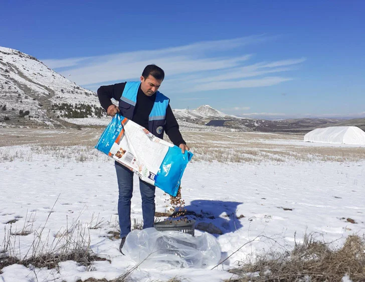 Battalgazi Belediyesi Soğukta Açlıkla Mücadele Eden Can Dostlarımızı Unutmuyor